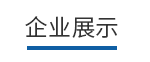 企业展示